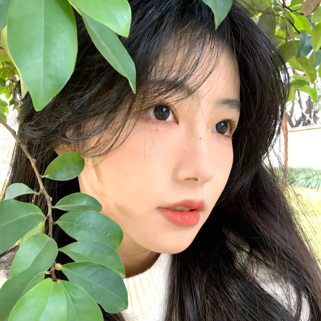八彩林亚珍粤语
